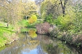 23 04_Regents Park_2661